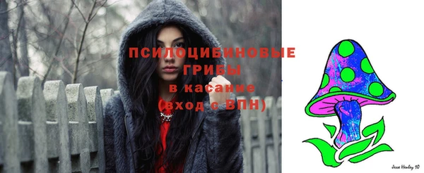 мяу мяу мука Аркадак