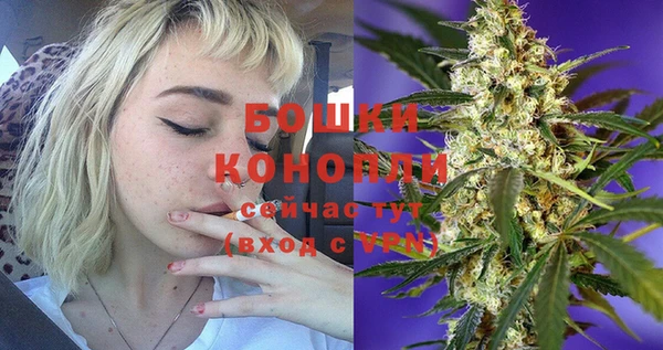 гидра Баксан