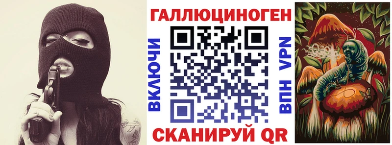 как найти закладки  Кущёвская  Псилоцибиновые грибы мицелий 